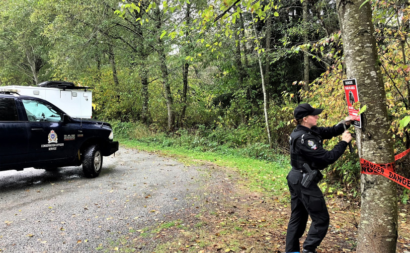 卑詩保育部門盤點去年最離譜的電話 希望幫孤獨的公羊找對象