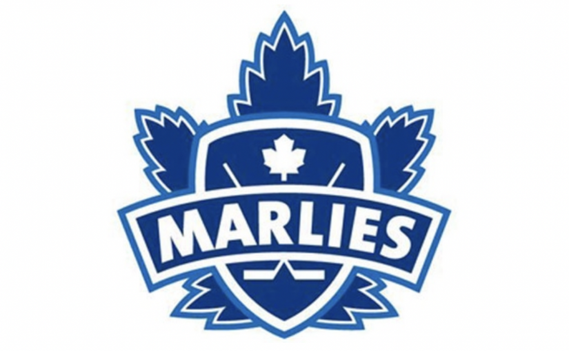 女粉絲看冰球比賽突發急病送院 比賽暫停