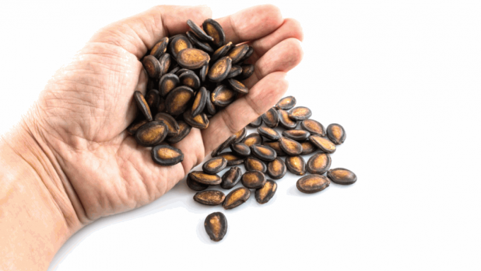 賀年食品｜食瓜子不可超30粒？ 牙醫揭3大後果可致牙齒斷裂