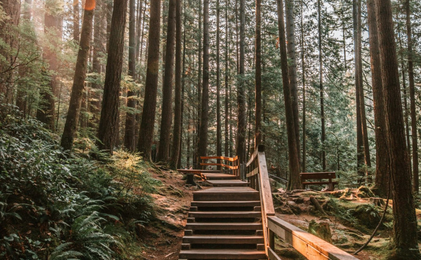 大溫這公園太受歡迎造成擁堵  被迫對停車收費