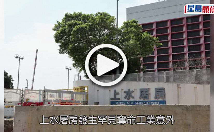 (視頻)上水屠房奪命意外 61歲屠夫被豬撞倒 利刀脫手插中左腳死亡