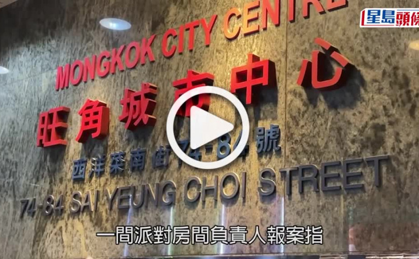 (視頻)旺角派對房8個月大布偶貓疑被偷走 貓主：前女友送贈盼賊人歸還