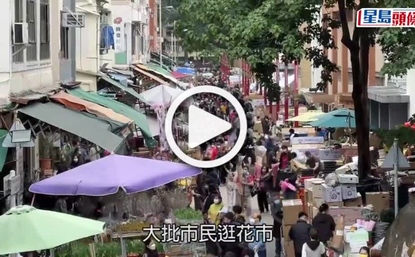 (視頻)旺角花墟現買花人潮 業界料生意增兩成