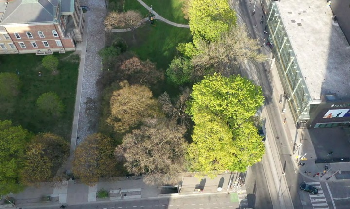 安省律師協會再次爭取禁令    阻止Metrolinx伐樹