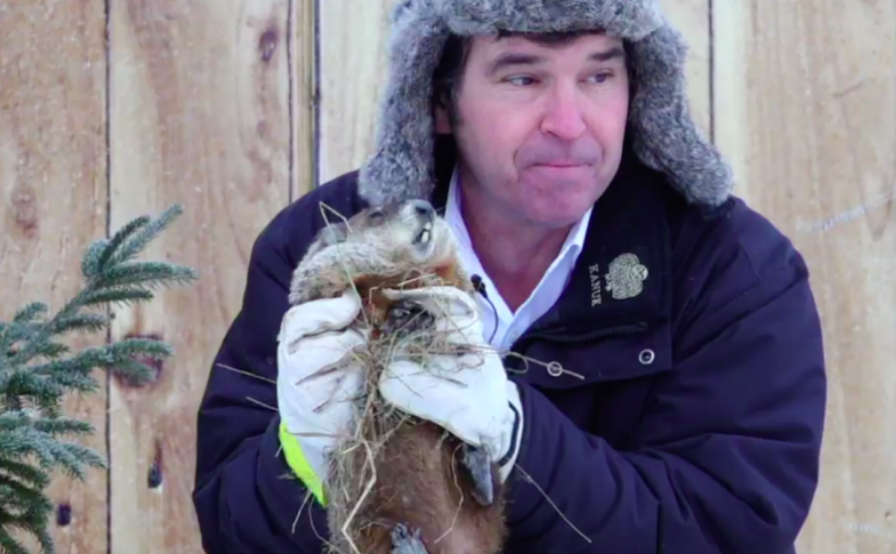 土撥鼠弗雷德身故    魁省童子代勞預告春天遲來
