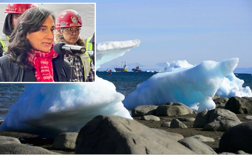 阿南德指發現監測浮標  凸顯捍衛北極主權必要性