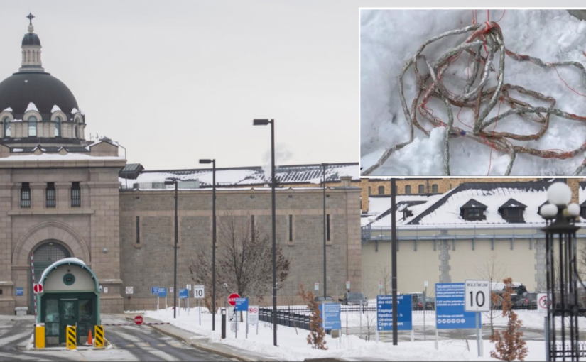 空投監獄出錯  滿地可男子後院收4.5萬元違禁品