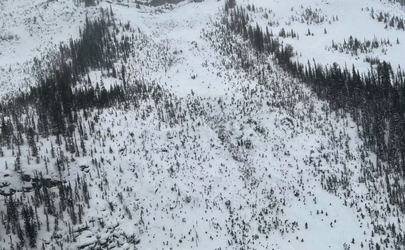 卑詩熱門滑雪地發生雪崩  兩滑雪者喪命