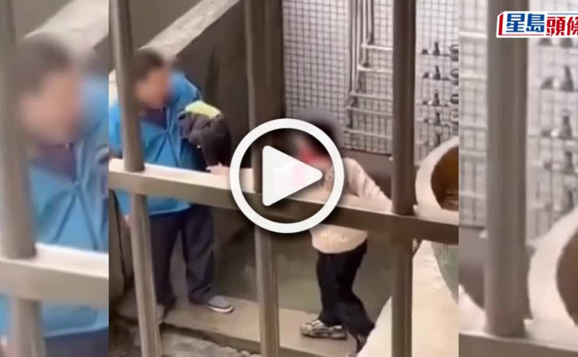 (視頻)小童持「菜刀劈父」片瘋傳 沉溺玩手機被沒收 父僅用一件外套收伏｜Juicy叮