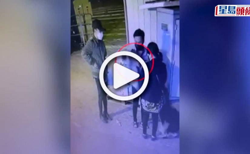 (視頻)油麻地果欄店東被偷愛貓 警拘2尼泊爾男涉盜竊 「 金枕」回歸主人懷抱 │有片