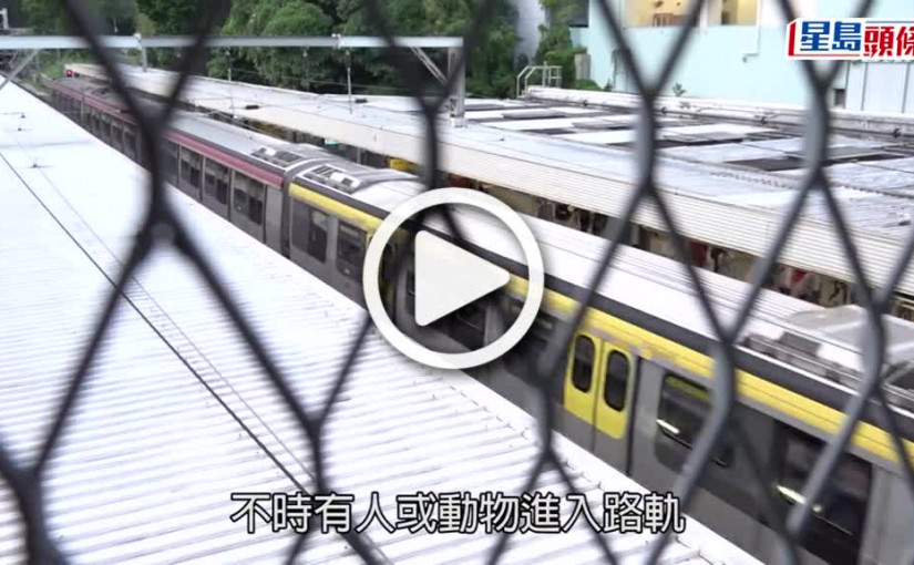 (視頻)港鐵：東鐵線各站月台今年安裝閘門 周日起乘客可按灰色標示排隊