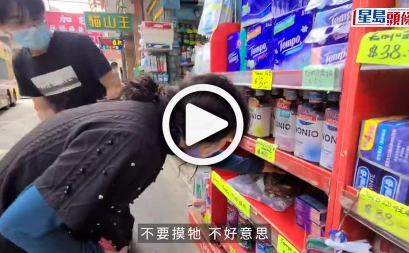 (視頻)粉絲玩謝貓店長「唔生」 貓奴代申訴：請大家放過佢