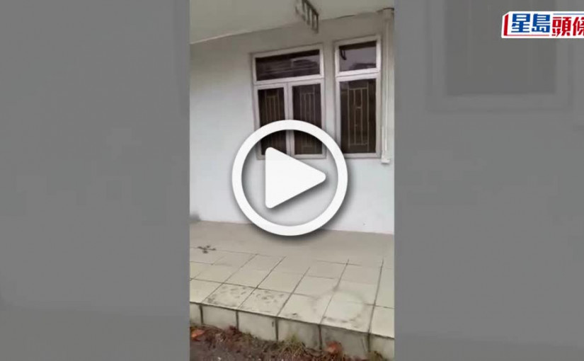 (視頻)蔡天鳳碎屍案｜重回兇案現場事發前 內櫳間隔大曝光 廚房備有雙爐頭