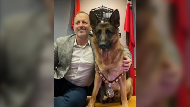 網紅狗被任命為尼亞加拉瀑布市榮譽市長