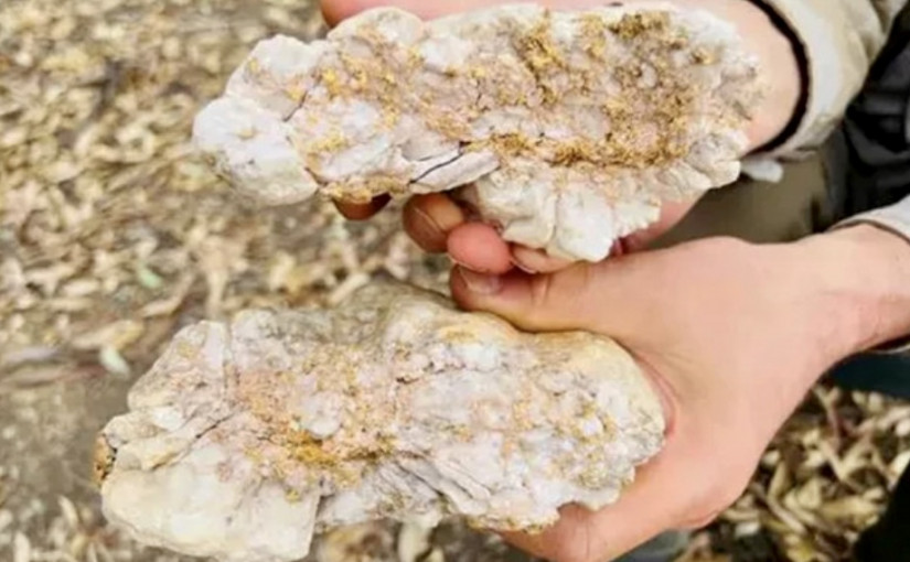 發達啦│澳洲業餘淘金者挖出值逾百萬元金塊 只靠普通探測器