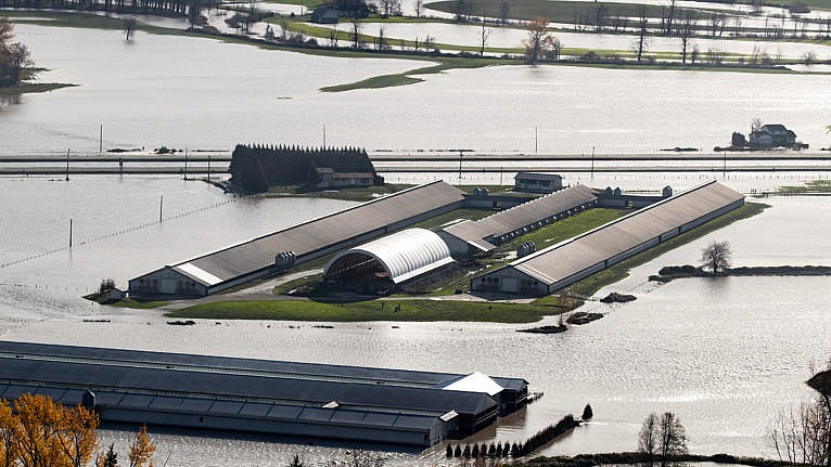 實用！房地產平台提供這服務  助買家避開潛在風險