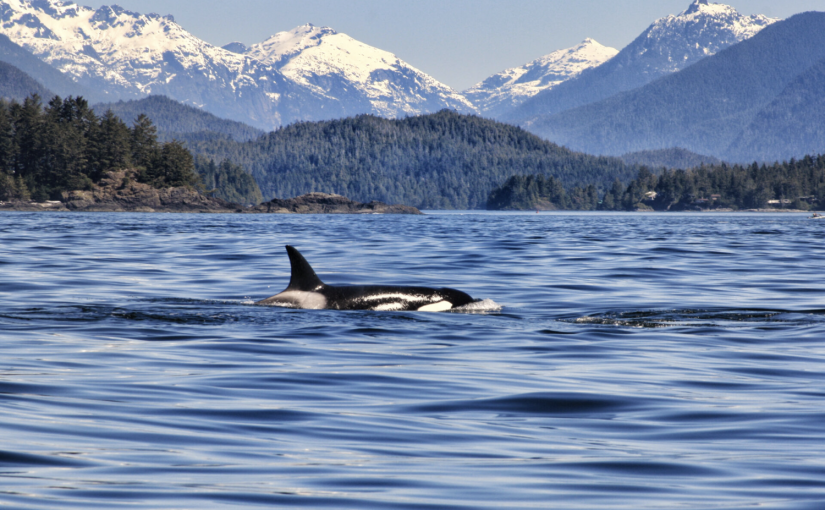 溫哥華入選25個世界最美地區
