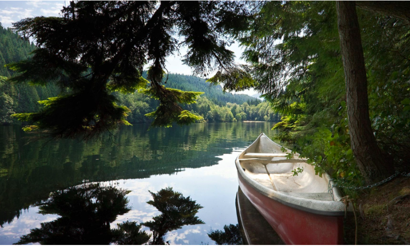 卑詩熱門露營地被大雪堵回去  你的預訂黃了嗎？