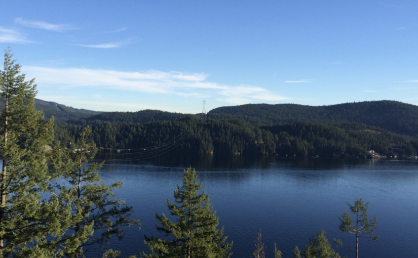 北溫景點本周重開 停車場堵到水洩不通