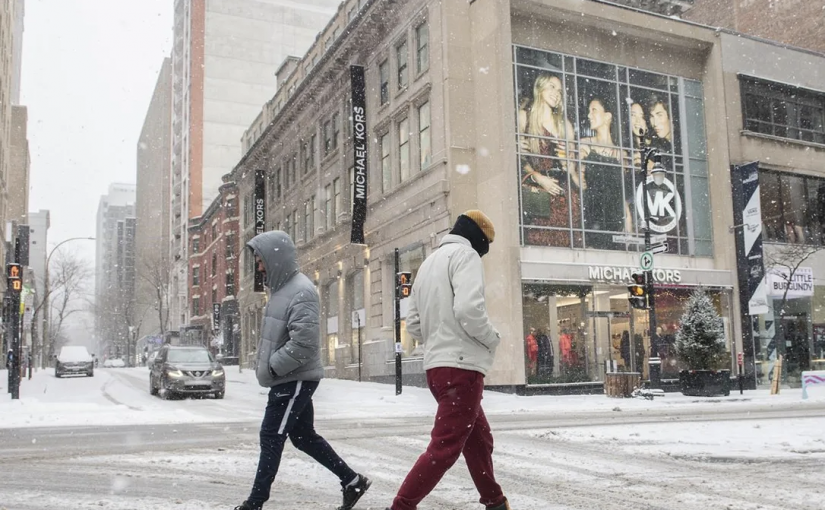 加拿大人小謊言真不少  這一點上出奇一致