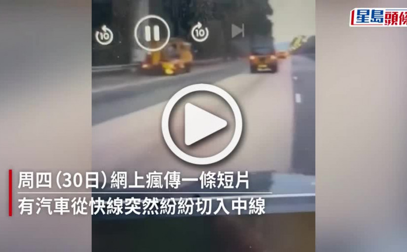 (視頻)有片｜元朗青朗公路孔雀堵路險撞 幽默網民: 終於唔係避狗