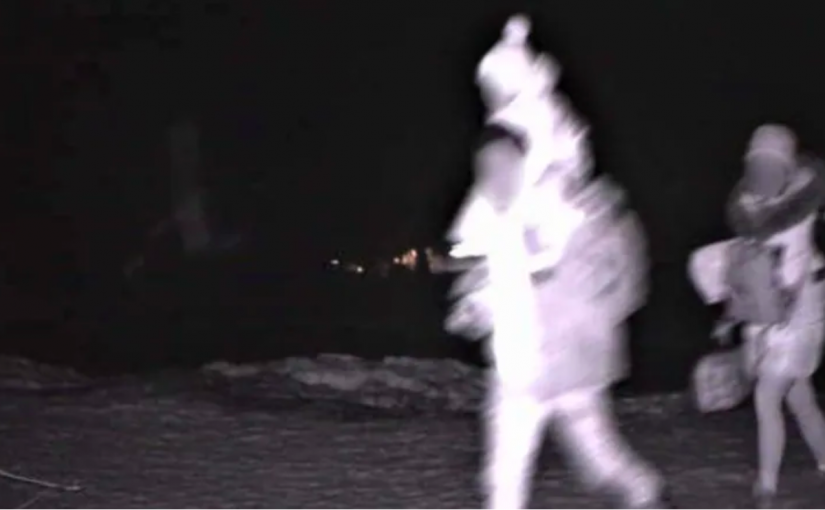 8人慘死仍擋不住！加美邊境5天拘30名偷渡客