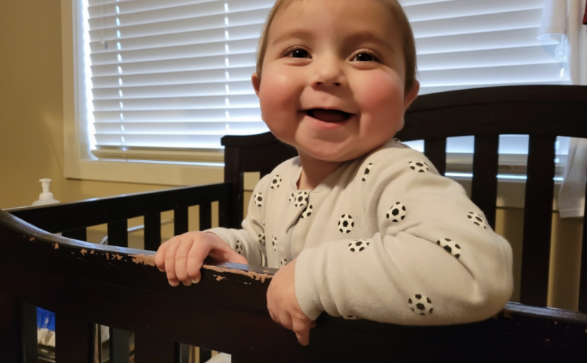 卑詩18個月嬰兒腎臟衰竭 正在尋找器官捐贈