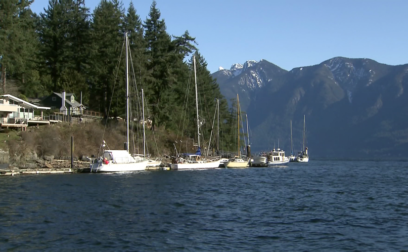 渡輪取消被迫滯留寶雲島    長周末數百人車上過夜