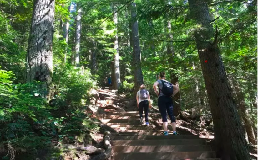 北溫BCMC行山径陡峭難行  再添一例遠足客死於心臟病發