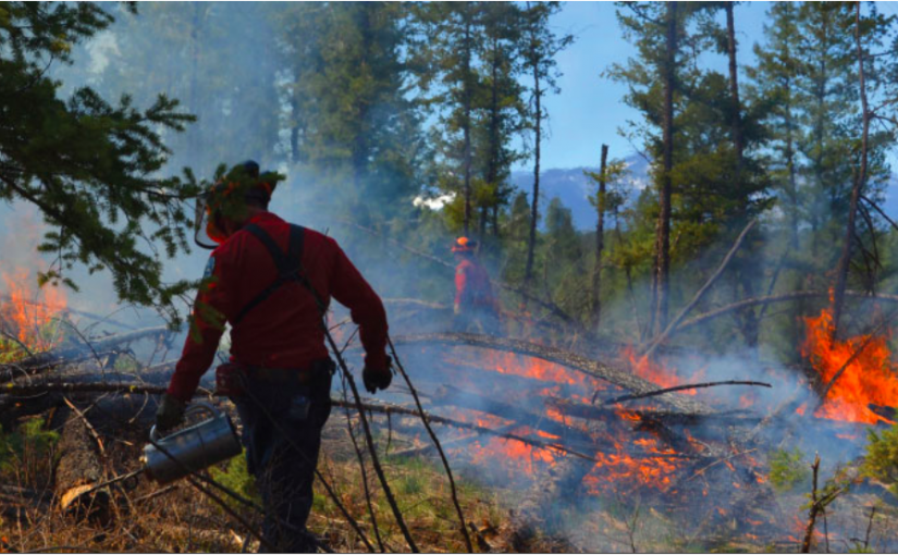卑詩省府敦促省民長周末戶外活動時注意防火