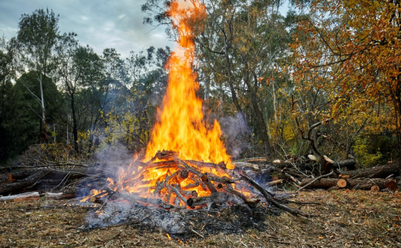 氣候乾燥溫度高    卑詩沿岸本周四起實施禁火令