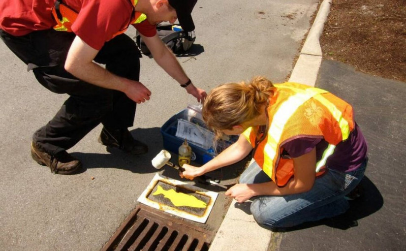 低陸平原環保團招募義工  參與戶外活動了解新知結交新朋友