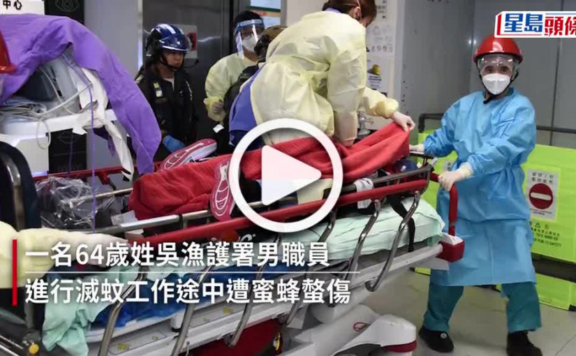 (視頻)大嶼山漁護署農林助理員遭群蜂螫傷 昏迷送院不治