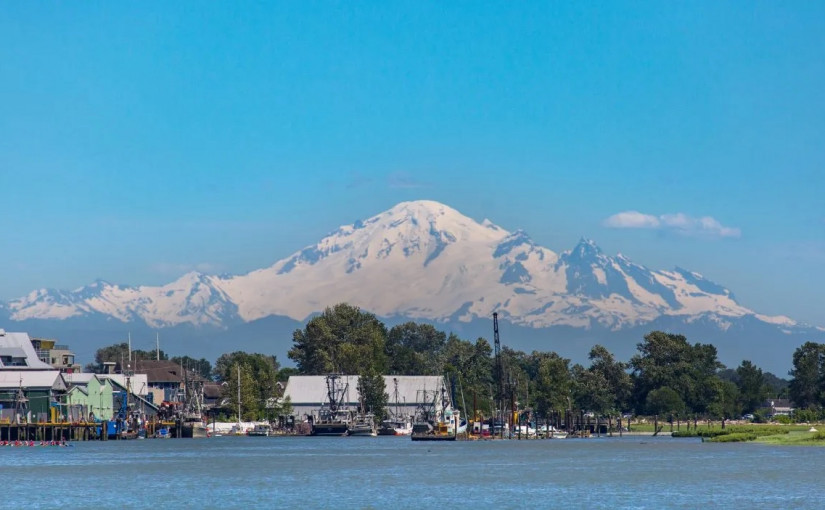 列治文史蒂夫斯頓港區驚現無名男屍