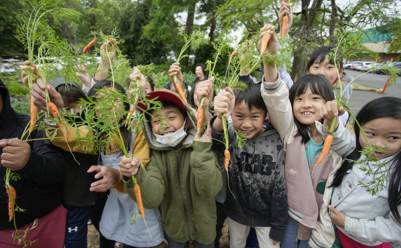學生們走出課室學種菜 學習珍惜食物
