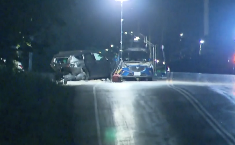 停車讓狗過馬路致連鎖車禍 72歲老婦不幸喪命