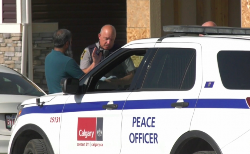 卡加利一歲半幼兒臉部被狗咬傷急送醫