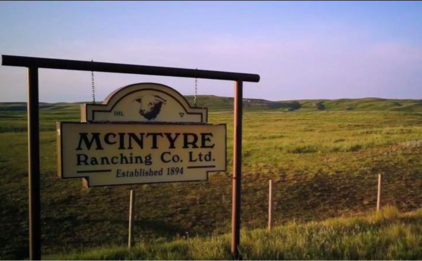 【多圖】最大項目！亞省130年歷史2萬多公頃私人牧場獲永久保護