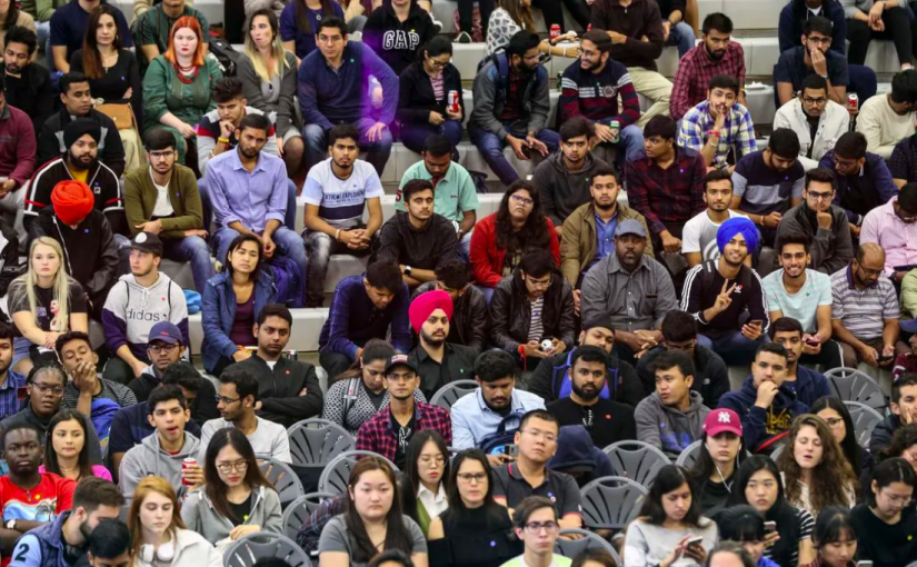 研究指加西國際生較他省更難就業獲永居權比率更低