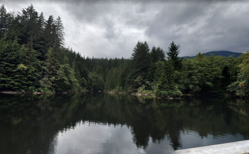 二十歲男子北溫溺水身亡