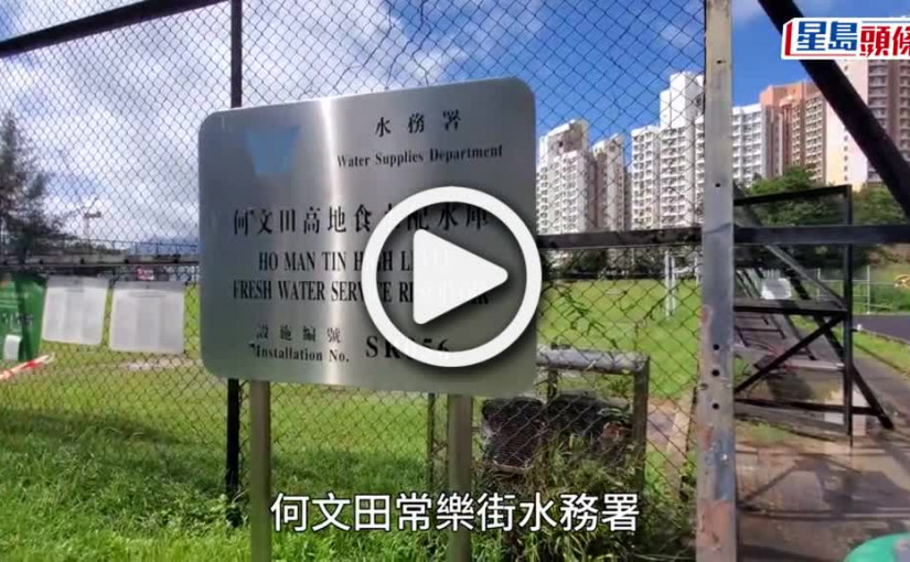 (視頻)何文田食水配水庫驚現大量雀屍 部分血肉模糊 屍旁疑有毒雀粟