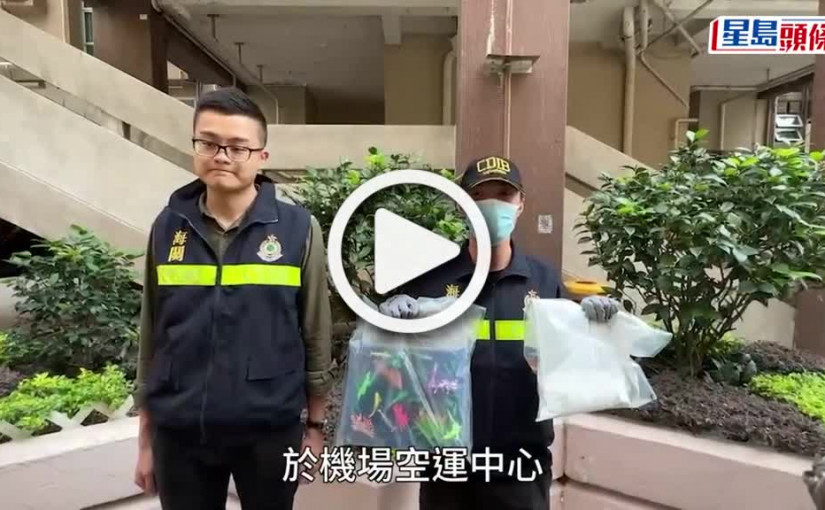 (視頻)運毒郵包｜海關截泰國寄港郵包揭擺設底座藏79萬元海洛英 49歲殯儀工人被捕