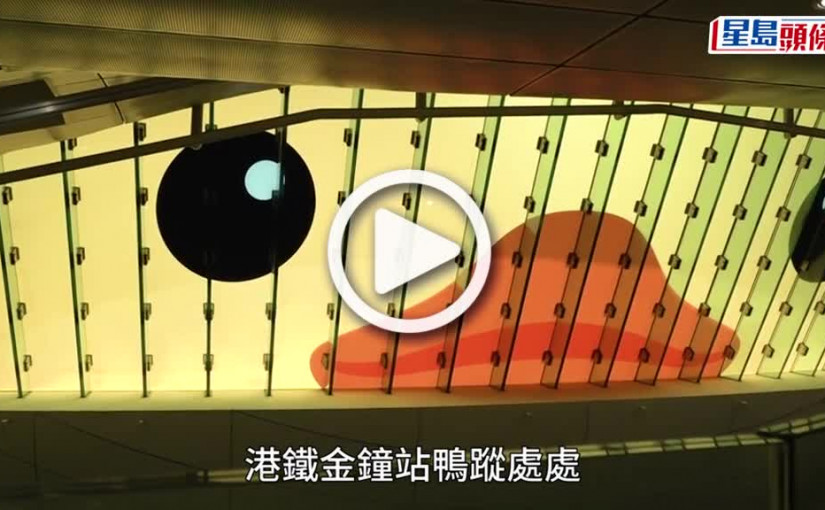 (視頻)金鐘站化身橡皮鴨「主題站」 玻璃天窗鴨子臉成打卡熱點