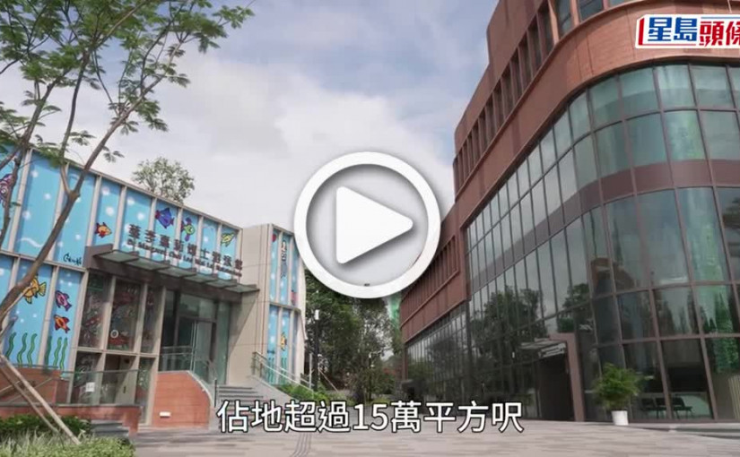 (視頻)錦田安基司9月開學 報名反應熱烈