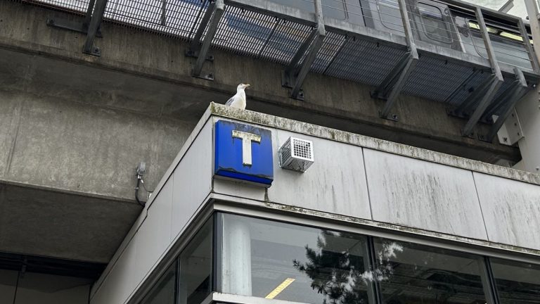 緬街天車站「犯罪活動」頻發  大溫運聯裝噪音器阻眾犯事