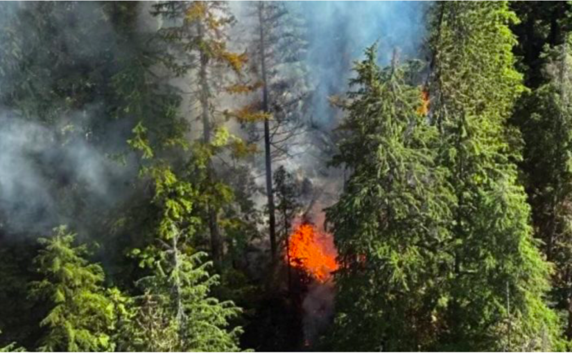 【有片】北溫西摩山火場仍處於失控狀態  消防員周四繼續撲救