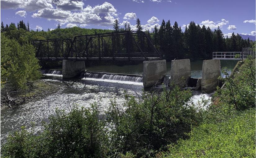 亞省汽車清晨衝入運河  車內4人3死一逃出