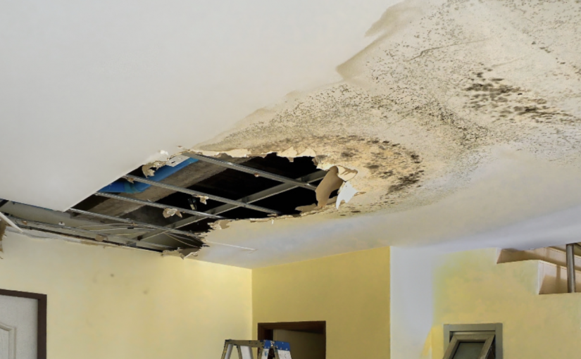 買房遇困境！卑詩一對夫婦遭遇惡夢般的經歷