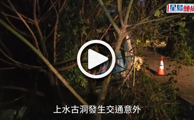 (視頻)上水綠van失控撞樹險墮坡 司機一度被困