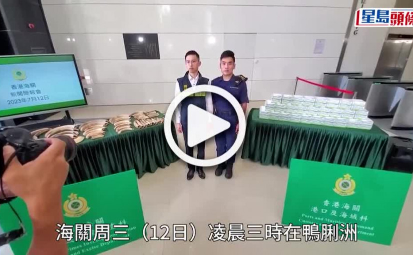 (視頻)海關鴨脷洲破海路走私活龜河馬牙案 市值200萬拘3男